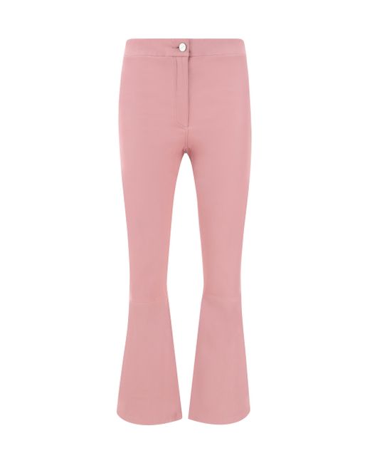 Arma Pink Lively Pants