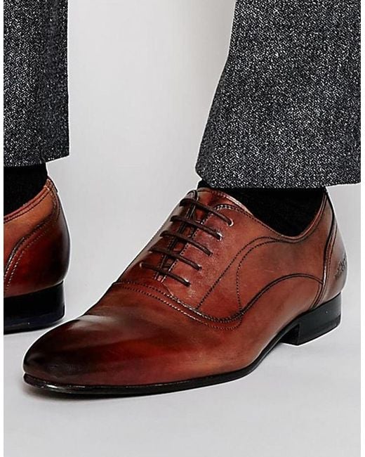 Ted Baker Brown Guri 8 Brogues for men