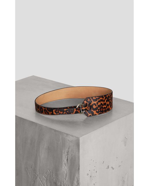 bcbgmaxazria belt