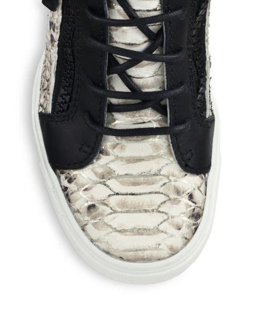 giuseppe zanotti python