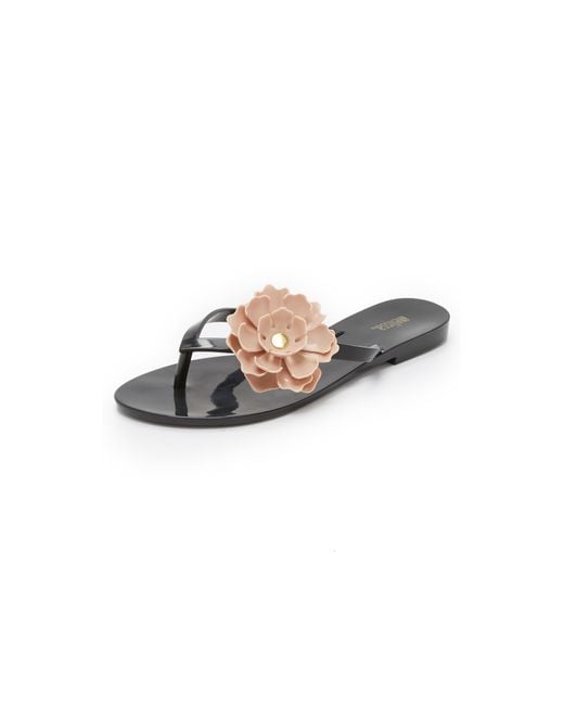 Melissa harmonic flower flip flops best sale