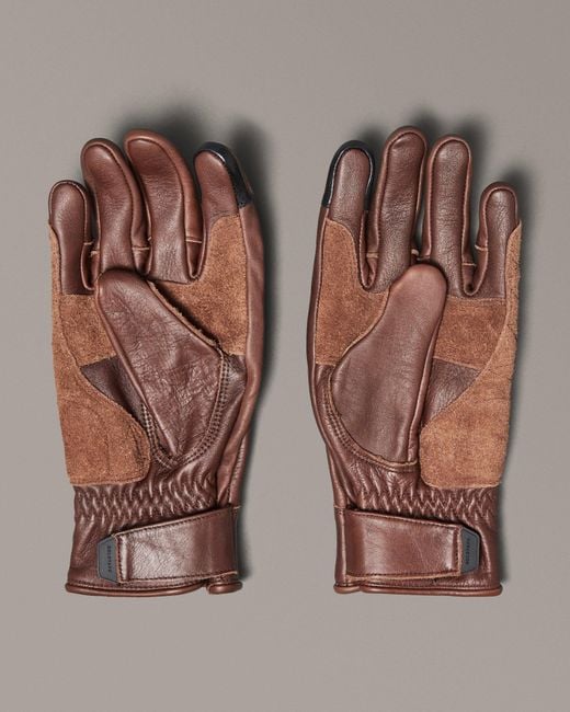 Belstaff Brown Clinch Glove for men