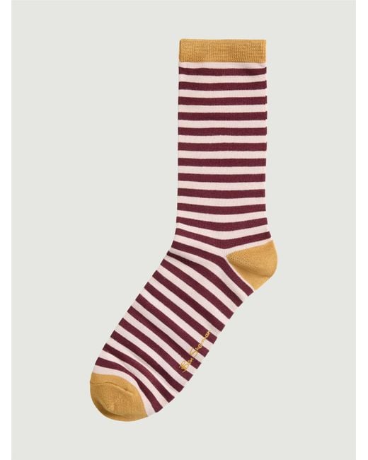 Ben Sherman Multicolor 3 Pack Mod Stripe Sock In Wine for men
