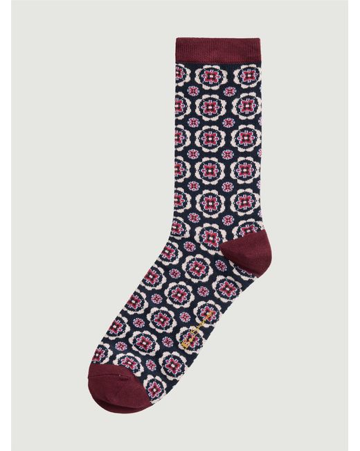 Ben Sherman Multicolor 3 Pack Mod Stripe Sock In Wine for men