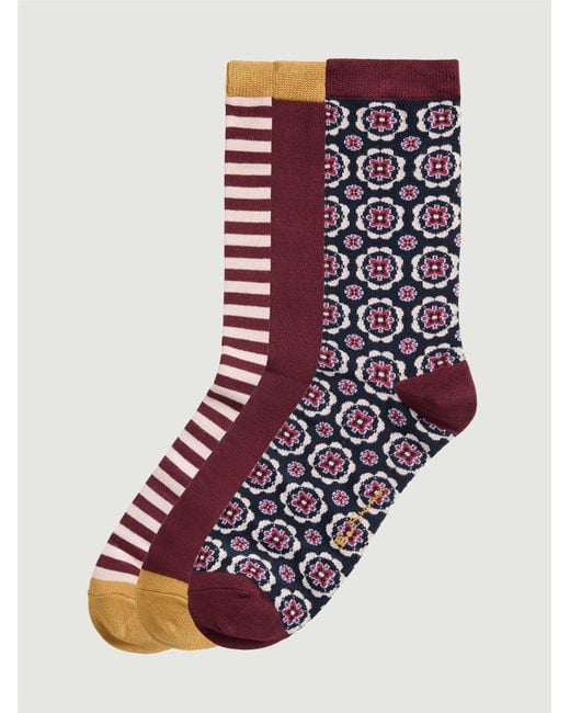 Ben Sherman Multicolor 3 Pack Mod Stripe Sock In Wine for men