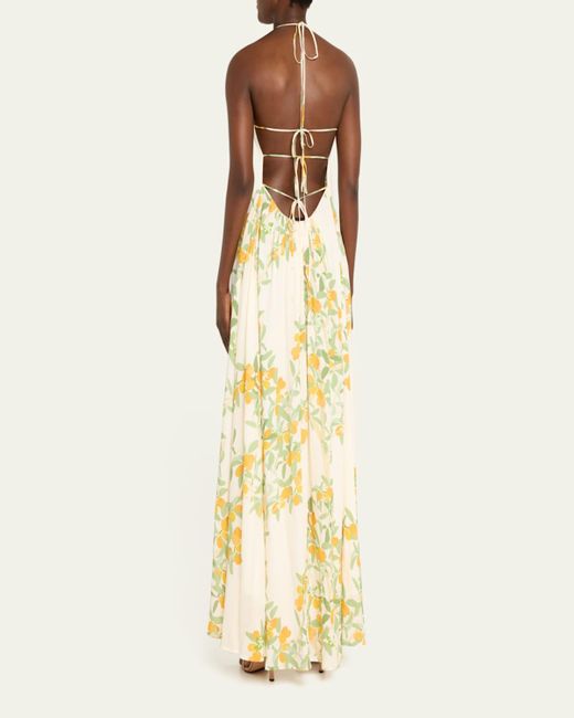 BERNADETTE Metallic Frannie Floral Print Maxi Dress