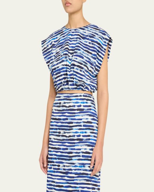A.L.C. Blue Billie Stripe Top