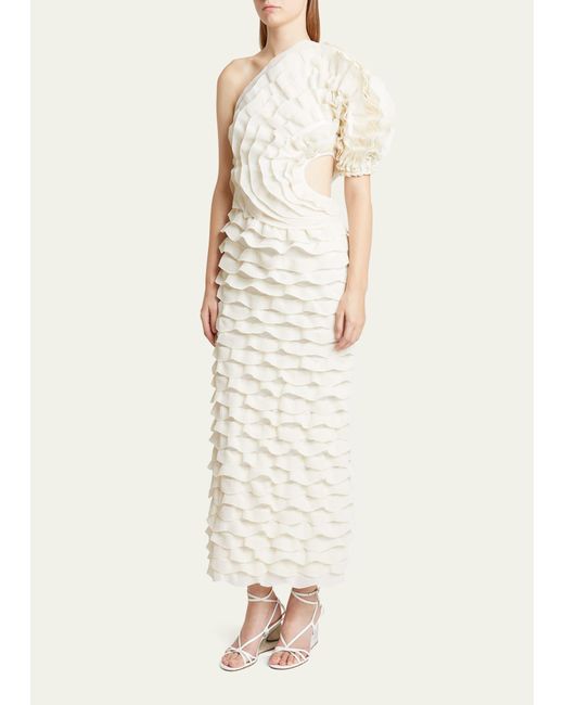Chloé Natural One-shoulder Long Fitted Dress With Knit Ruffles