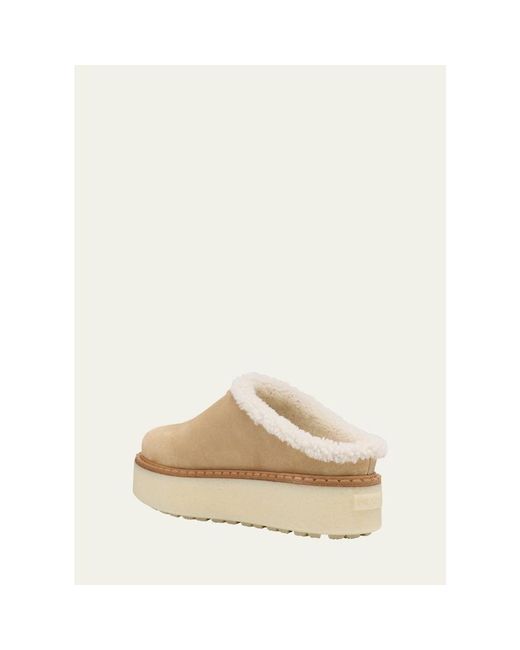 Prada Natural Suede Shearling Cozy Platform Mules