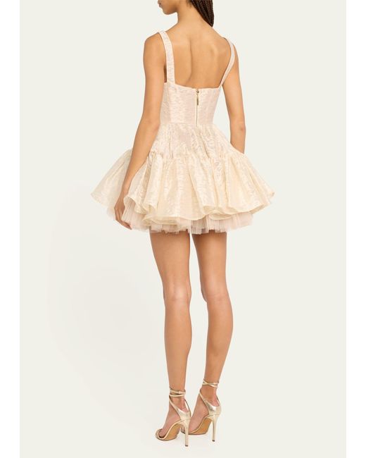 Bronx and Banco Natural Tiara Ruffle Fit-&-Flare Jacquard Mini Dress