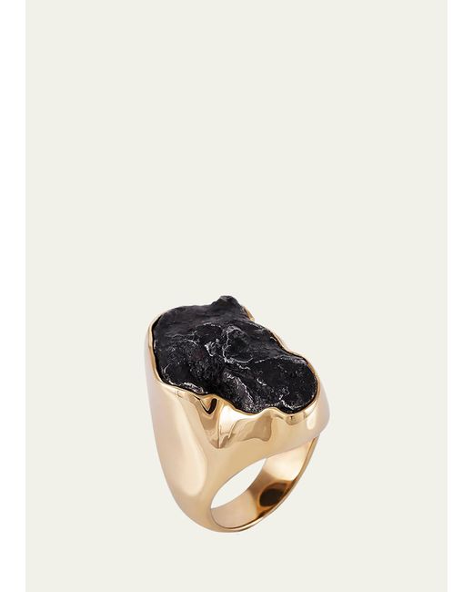 Jorge Adeler Multicolor 18k Yellow Gold Sikhote-alin Meteorite Ring for men