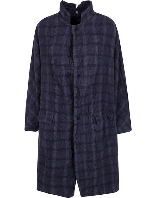 Daniela Gregis Blue Coat Main Feature "Papavero Briciole"