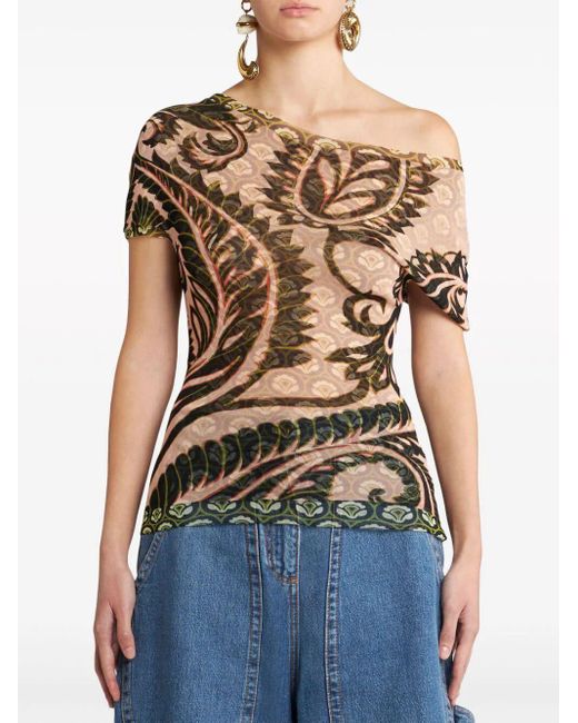 Etro Brown Printed Tulle T-Shirt
