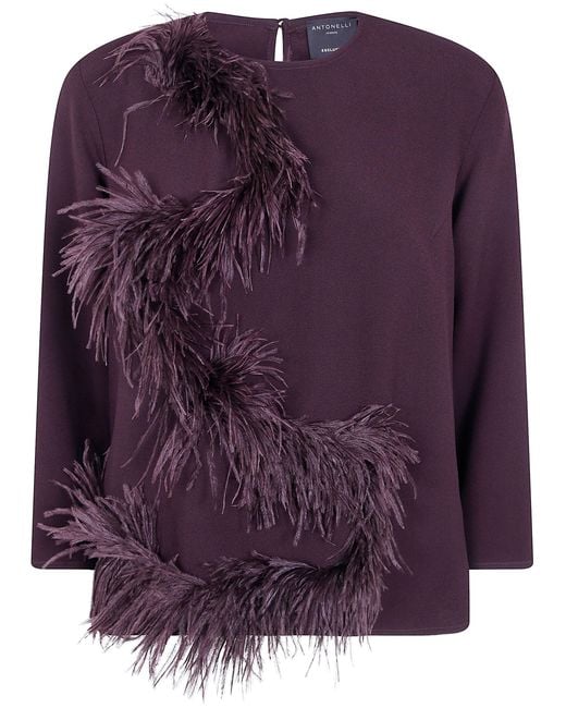 Antonelli Purple Top Feathered Round Neck "Mango"