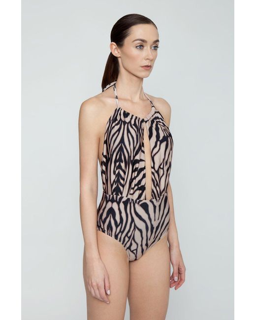 rosa cha swimsuit
