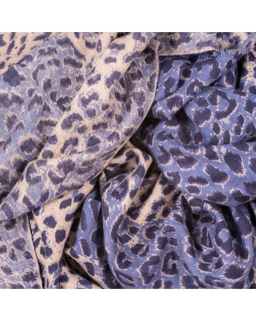 Black French Blue Leopard Print Pashmina Cashmere Shawl