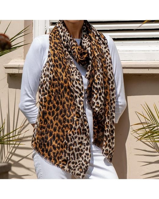 Black Accessories Multicolor Leopard Print Cashmere And Silk Scarf