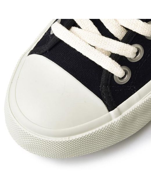 veja canvas black