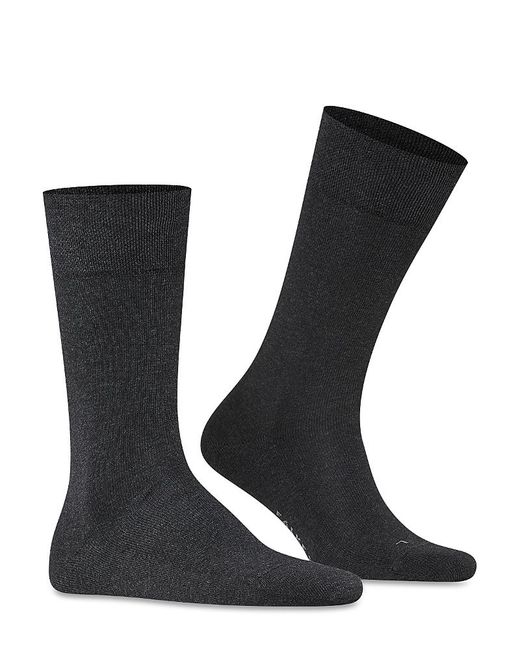 Falke Black Sensitive London Cotton Blend Solid Socks for men