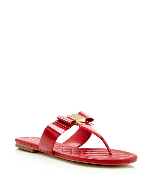 halogen mules
