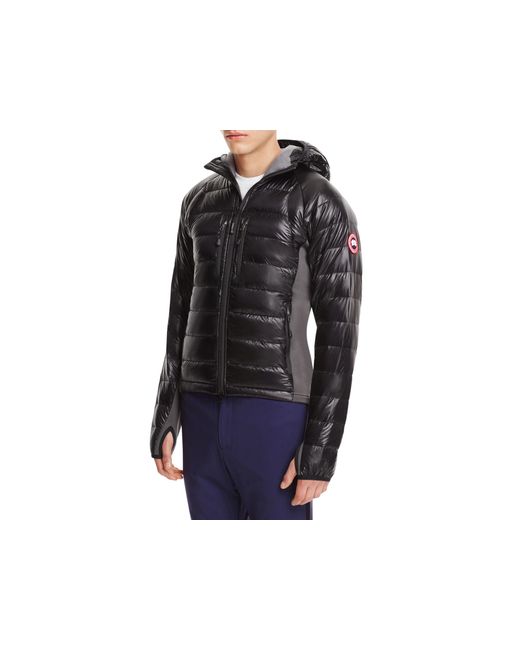 canada goose jacket zulily canada goose jacket zulily