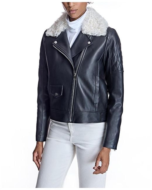 Maximilian Blue Leather Jacket With Shearling Collar