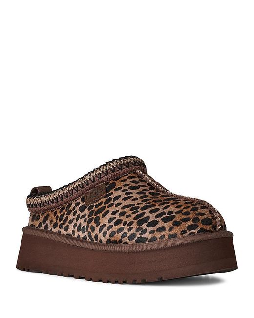 Ugg Brown Tazz Caspian Clogs