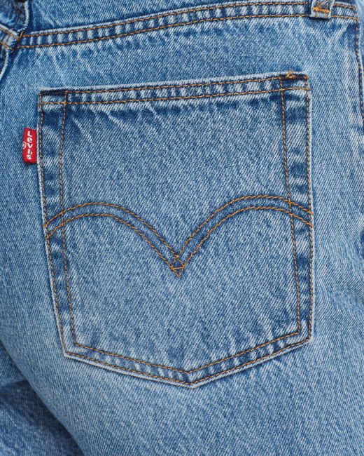 levi's uncovered truth