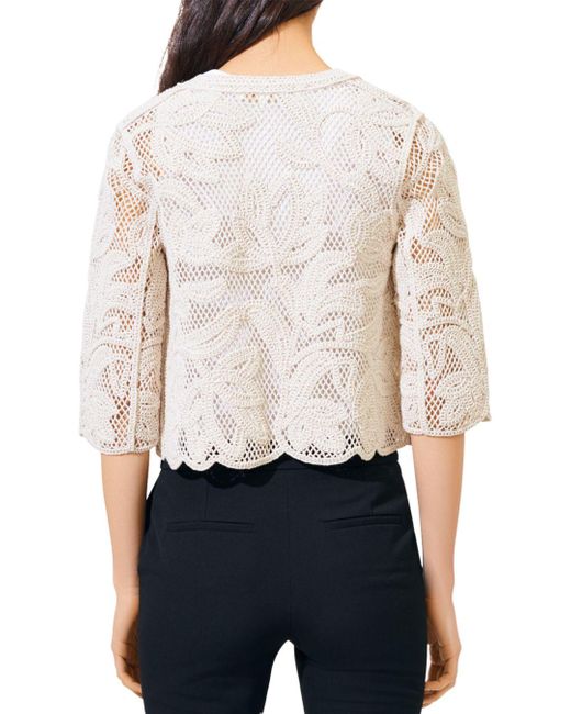 beige lace cardigan