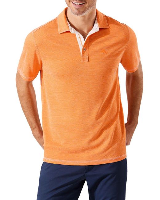tommy bahama paradiso polo
