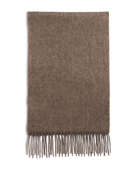Bloomingdale's Brown The Store for men