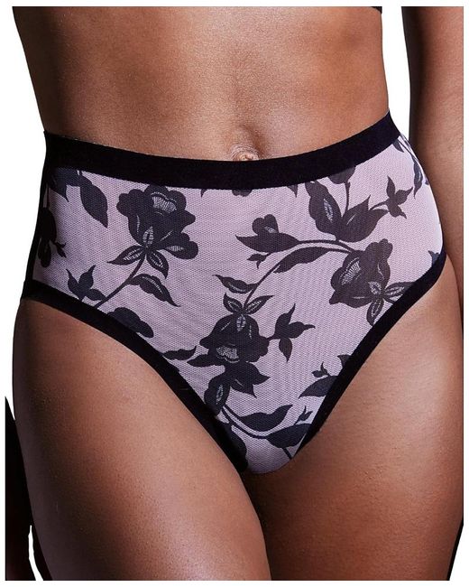 EBY Purple Sheer High Cut Highwaisted Brief