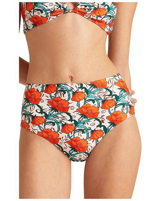 LaDoubleJ Multicolor Honey Bottom