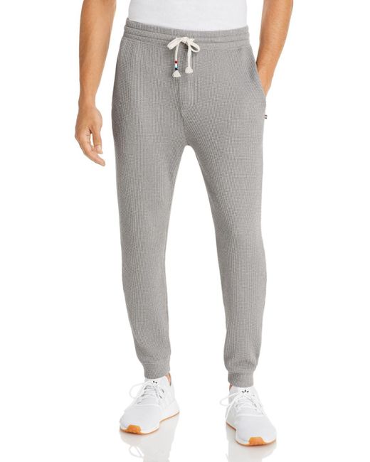 Sol Angeles Cotton Thermal Joggers in Heather (Gray) for Men | Lyst