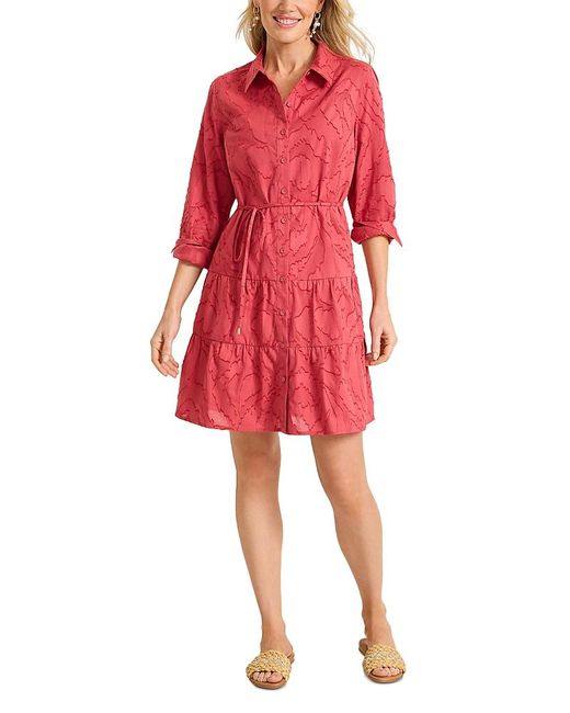 tommy bahama ladies dresses Women's Dresses