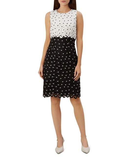 Hobbs Synthetic Lulu Sleeveless Floral - Lace Dress in Black Ivory (Black) - Lyst