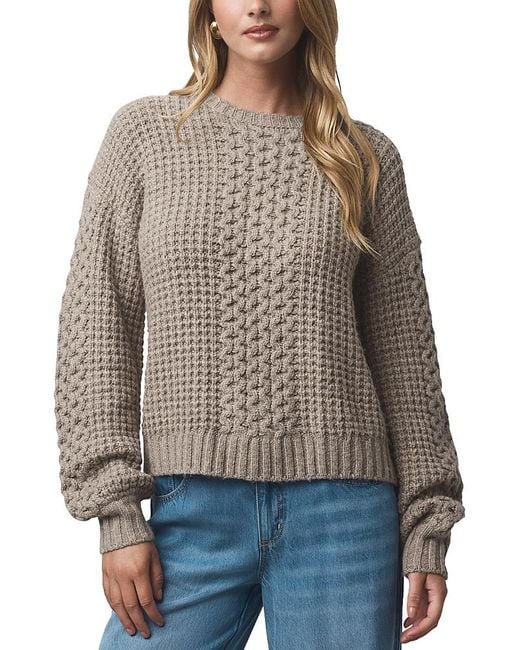 Splendid Brown Celeste Cable Sweater