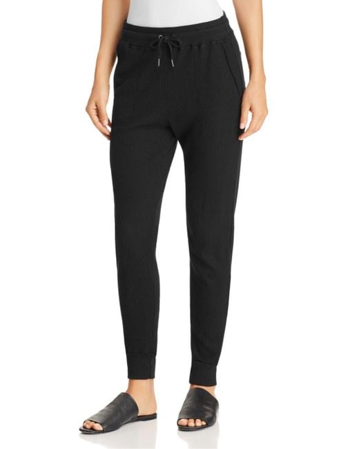 Splendid Thermal Weekend Jogger Pants 