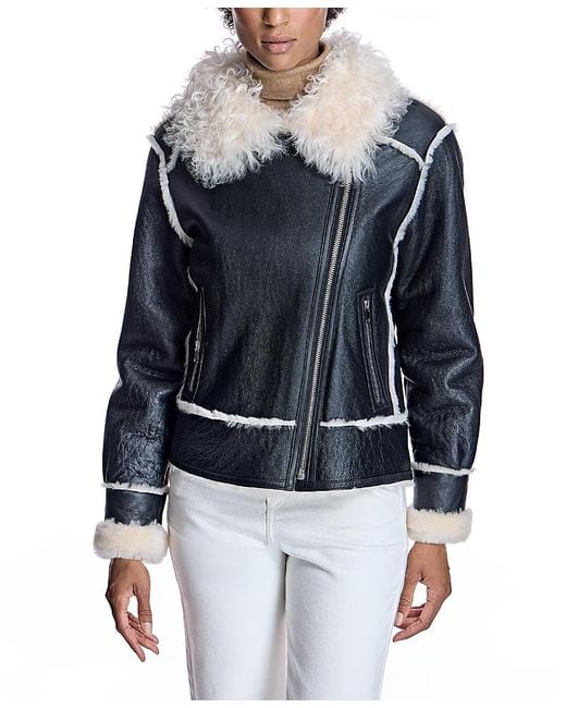 Maximilian Blue Nappa Finish Shearling Jacket