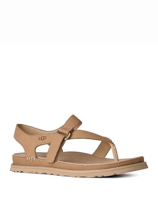 Ugg Brown Goldengaze Toe Post Sandals