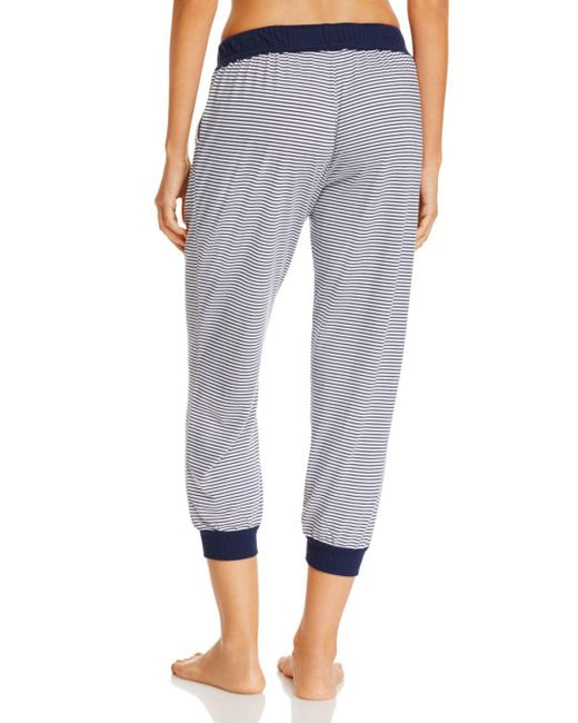 splendid jogger pants