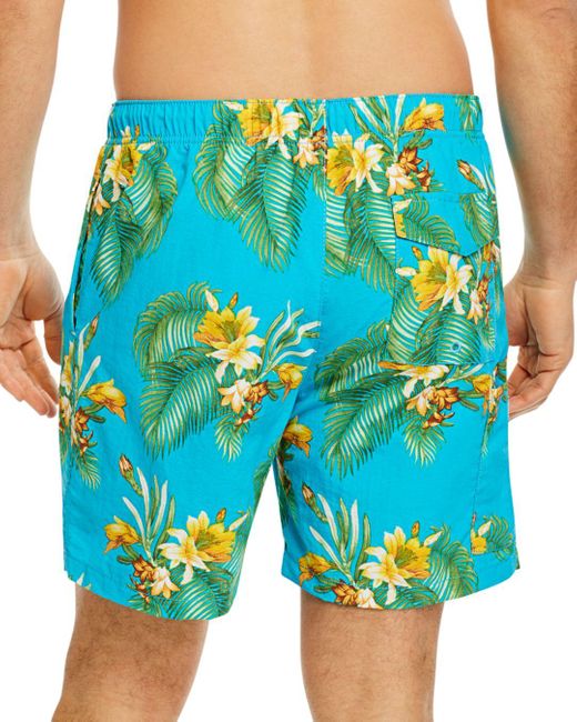 tommy bahama trunks