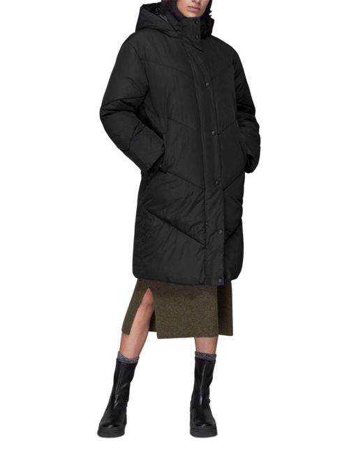 whistles black puffer