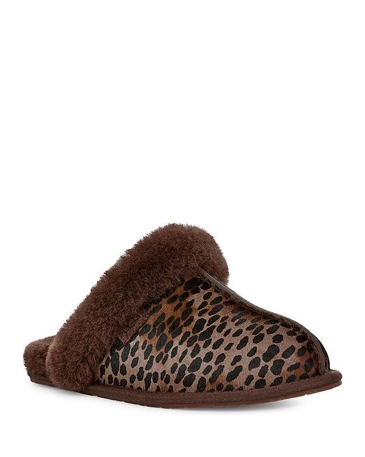 Ugg Brown Scuffette Caspian Slipper Clogs
