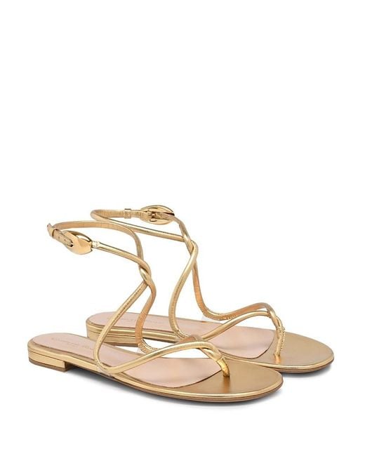 Gianvito Rossi Metallic Mamba Flat Sandal