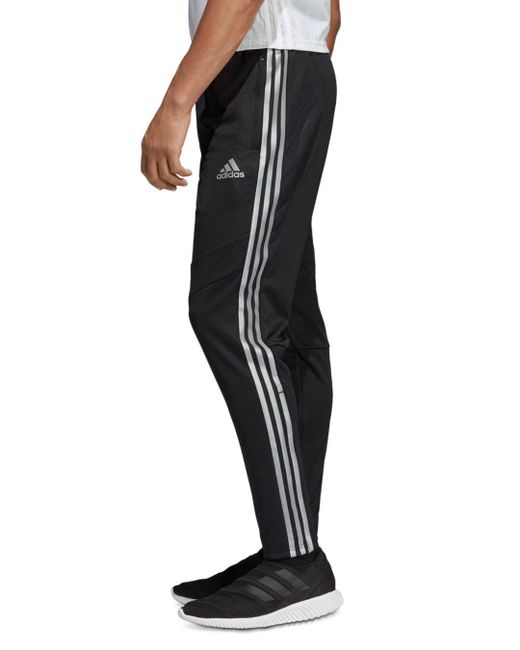 tiro 19 track pants