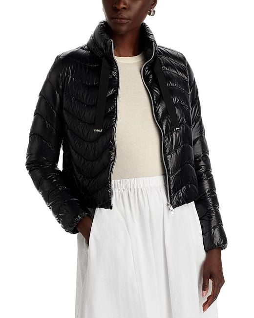 Herno Black Shiny Jacket