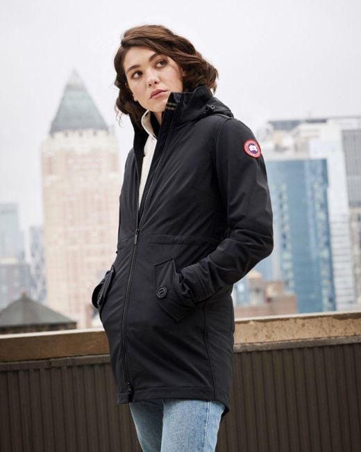 avery canada goose