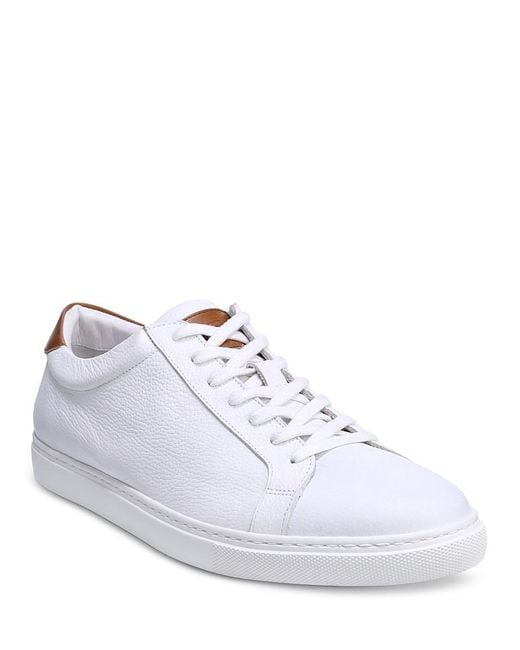 Allen Edmonds Courtside Sneaker