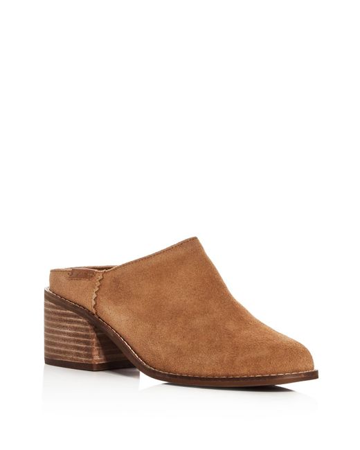 toms mules